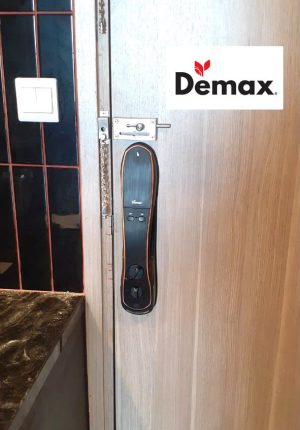 KHÓA CỬA VÂN TAY DEMAX SL668 BL - 8