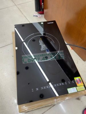 Bếp từ đơn FASTER FS 113DI - 3 BẾP TỪ ĐƠN FASTER FS 113DI
