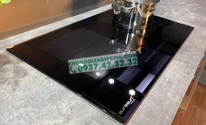 BẾP TỪ EUROSUN EU-T999G PREMIUM