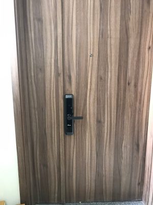 KHOÁ CỬA THÔNG MINH DEMAX SL768 BN