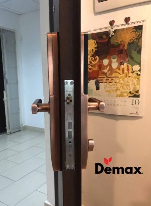 KHÓA VÂN TAY CHO CỬA GỖ DEMAX SL621AC