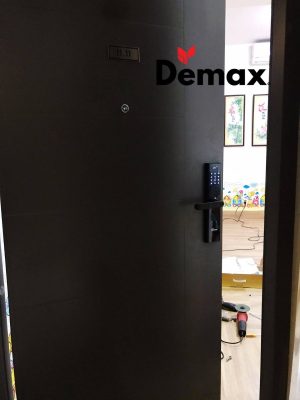 KHÓA VÂN TAY THÔNG MINH DEMAX SL638 BN