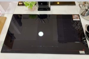 BẾP TỪ EUROSUN EU-T888GE GOLD/SILVER