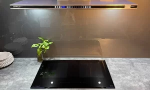 BẾP TỪ EUROSUN EU-T999G PREMIUM