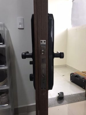 KHOÁ CỬA THÔNG MINH DEMAX SL768 BN