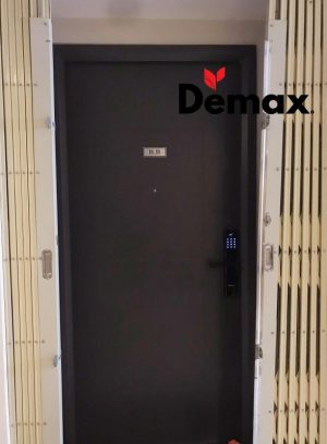 KHÓA VÂN TAY THÔNG MINH DEMAX SL638 BN