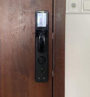 KHOÁ CỬA THÔNG MINH DEMAX SL828 GS