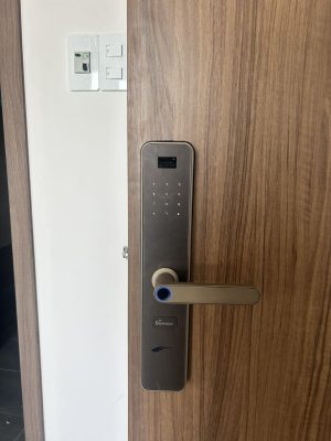 KHÓA VÂN TAY THÔNG MINH DEMAX SL630 GB