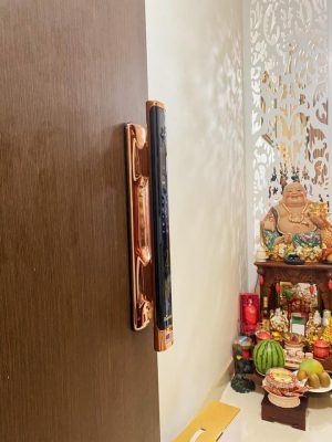 KHÓA VÂN TAY CHUÔNG MÀN HÌNH DEMAX SL868 CP