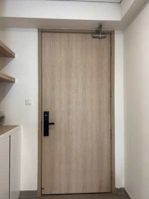 KHÓA VÂN TAY THÔNG MINH DEMAX SL638 BN