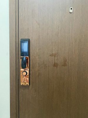 KHÓA VÂN TAY CHUÔNG MÀN HÌNH DEMAX SL868 CP