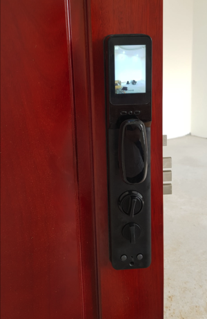 KHÓA CỬA CHUÔNG MÀN HÌNH DEMAX SL866 BN