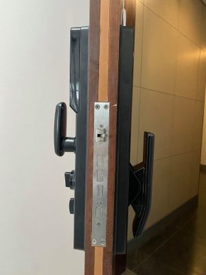 KHÓA CỬA CHUÔNG MÀN HÌNH DEMAX SL866 BN