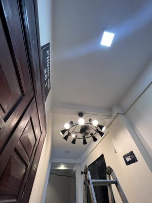 QUẠT TRẦN MR VŨ TESLA - 4