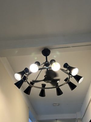 QUẠT TRẦN MR VŨ TESLA - 6