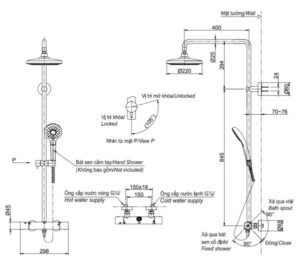 Sen cây nhiệt độ TOTO TBW01402B - 3