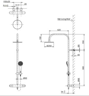 Sen cây nhiệt độ TOTO TX454SFV2BRS - 3
