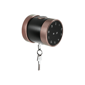 Phglock-Khóa vân tay FP8193 / APP - 5