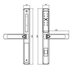 KASSLER KL-599LX CHAMPAGE GOLD