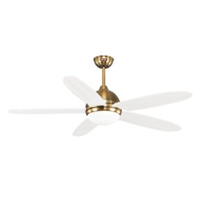 Quạt trần Daisy WH Mr Vũ Fan - 9 Quạt trần Daisy WH Mr Vũ Fan - 8