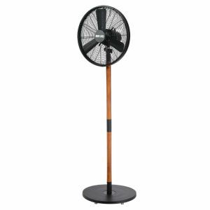 Quạt cây Windy Mr Vũ Fan - 9 Quạt cây Windy Mr Vũ Fan - 8