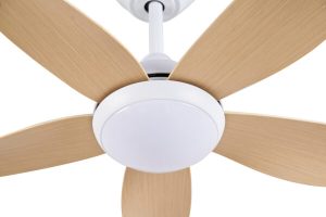 Quạt trần CORA 40 MP Mr Vũ Fan - 16 Quạt trần CORA 40 MP Mr Vũ Fan - 15
