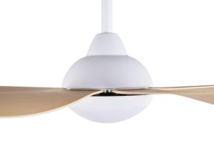 Quạt trần CORA 40 MP Mr Vũ Fan - 22 Quạt trần CORA 40 MP Mr Vũ Fan - 21