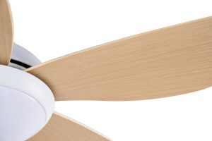 Quạt trần CORA 40 MP Mr Vũ Fan - 24 Quạt trần CORA 40 MP Mr Vũ Fan - 23