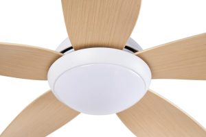 Quạt trần CORA 40 MP Mr Vũ Fan - 26 Quạt trần CORA 40 MP Mr Vũ Fan - 25