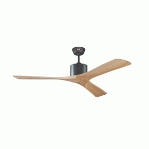 Quạt trần Solid WN Mr Vũ Fan - 24