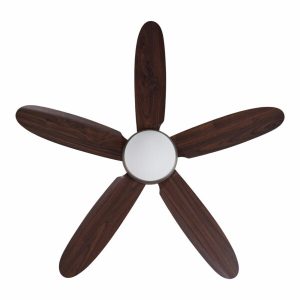 Quạt trần Daisy SO Mr Vũ Fan - 16