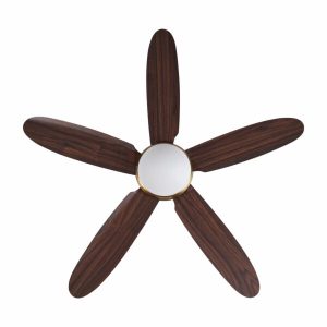 Quạt trần Daisy Gold Mr Vũ Fan - 12 Quạt trần Daisy Gold Mr Vũ Fan - 11