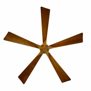 Quạt trần CANDY WN Mr Vũ Fan - 10 Quạt trần CANDY WN Mr Vũ Fan - 9