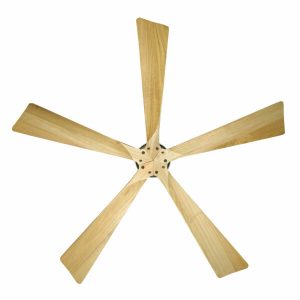 Quạt trần CANDY MP Mr Vũ Fan - 9 Quạt trần CANDY MP Mr Vũ Fan - 8