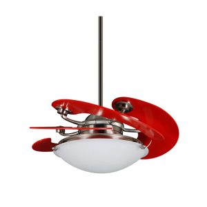 Quạt Sole Red Mr Vũ Fan - 8 Quạt Sole Red Mr Vũ Fan - 7