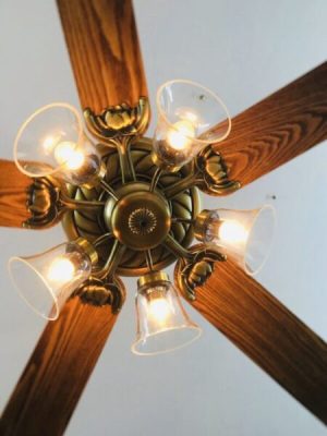 Quạt trần Lotus Gold Mr Vũ Fan - 21