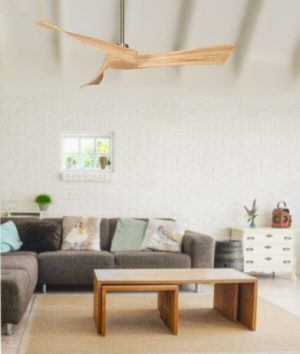 Quạt trần Merc MP Mr Vũ Fan - 21 Quạt trần Merc MP Mr Vũ Fan - 20