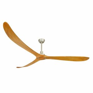 Quạt Timmer 100 Mr Vũ Fan - 13 Quạt Timmer 100 Mr Vũ Fan - 12