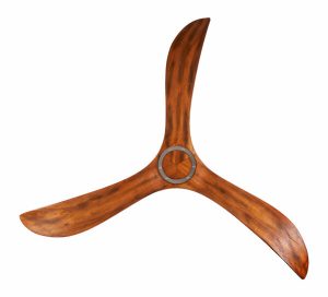 Quạt Timmer 100 Mr Vũ Fan - 15 Quạt Timmer 100 Mr Vũ Fan - 14