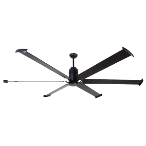 Quạt cánh lớn Fortis Mr Vũ Fan - 5 Quạt cánh lớn Fortis Mr Vũ Fan - 4