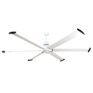 Quạt cánh lớn Fortis Mr Vũ Fan - 7 Quạt cánh lớn Fortis Mr Vũ Fan - 6