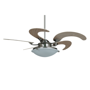 QUẠT TRẦN MR VŨ SOLE WOOD - 8