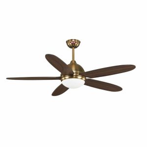 Quạt trần Daisy Gold Mr Vũ Fan - 10 Quạt trần Daisy Gold Mr Vũ Fan - 9