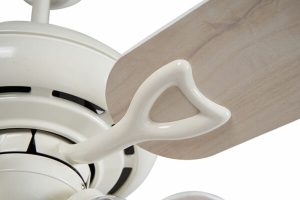 Quạt Classic WH 3L Mr Vũ Fan - 18