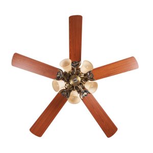 Quạt trần Lotus Gold Mr Vũ Fan - 51