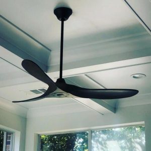 QUẠT EAGLE 60 MB Mr Vũ Fan - 22 QUẠT EAGLE 60 MB Mr Vũ Fan - 21