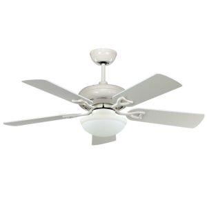 Quạt Classic WH SL Mr Vũ Fan - 3