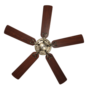 Quạt Classic AB Mr Vũ Fan - 14