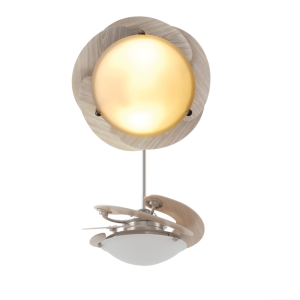 QUẠT TRẦN MR VŨ SOLE WOOD - 6