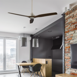 Quạt trần TREND 60 Mr Vũ Fan - 13 Quạt trần TREND 60 Mr Vũ Fan - 12